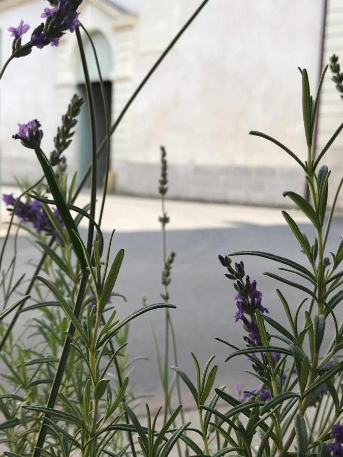 Fontevraud Maison De Ville Bnb Zewnętrze zdjęcie