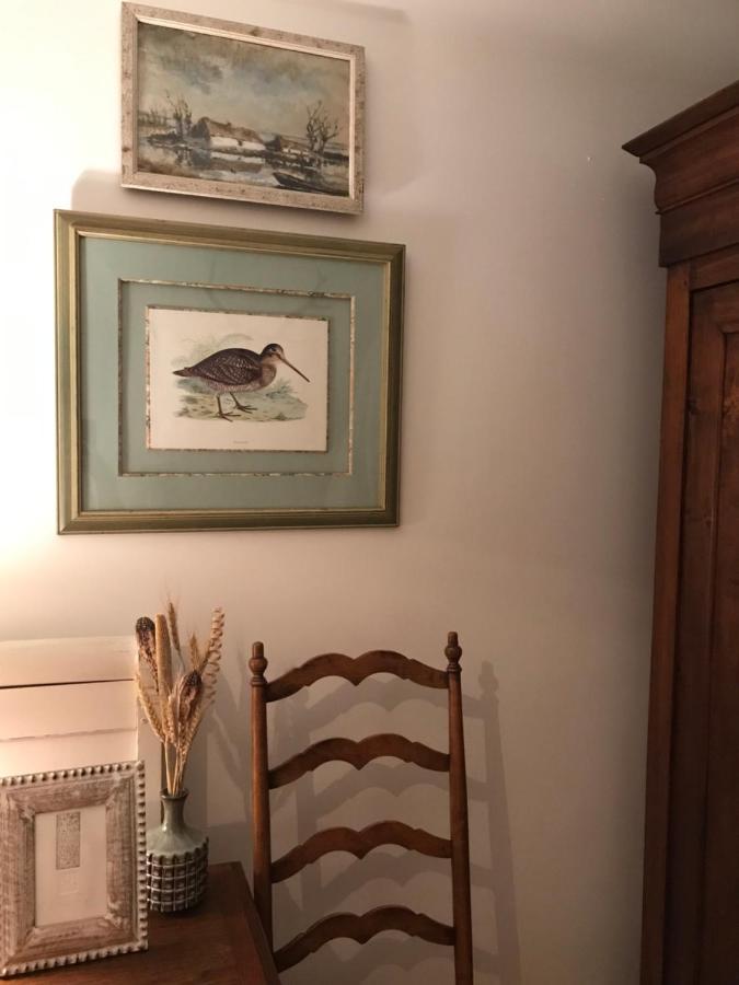 Fontevraud Maison De Ville Bnb Zewnętrze zdjęcie